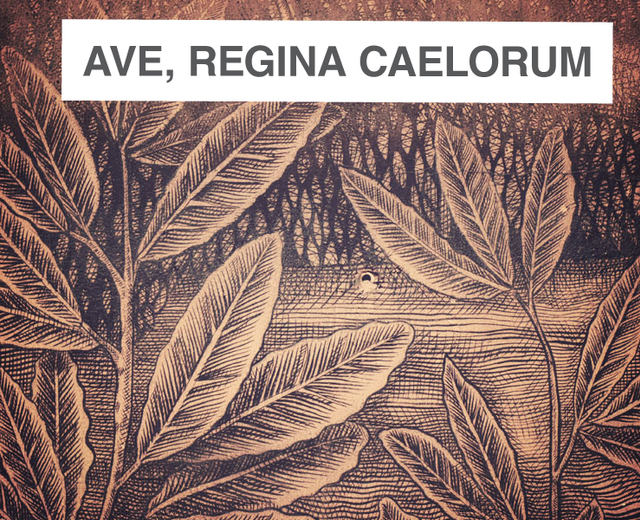 Ave, Regina Caelorum | Ave, Regina Caelorum| MusicSpoke