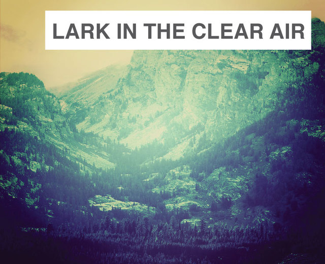 The Lark in the Clear Air | The Lark in the Clear Air| MusicSpoke