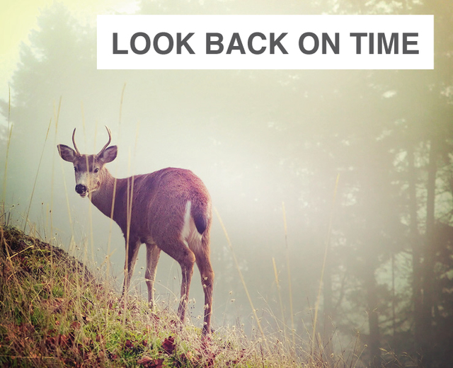 Look Back on Time with Kindly Eyes  | Look Back on Time with Kindly Eyes | MusicSpoke