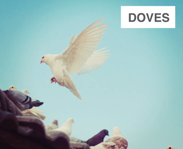 Doves of St Nicholas' Church | Doves of St Nicholas' Church| MusicSpoke