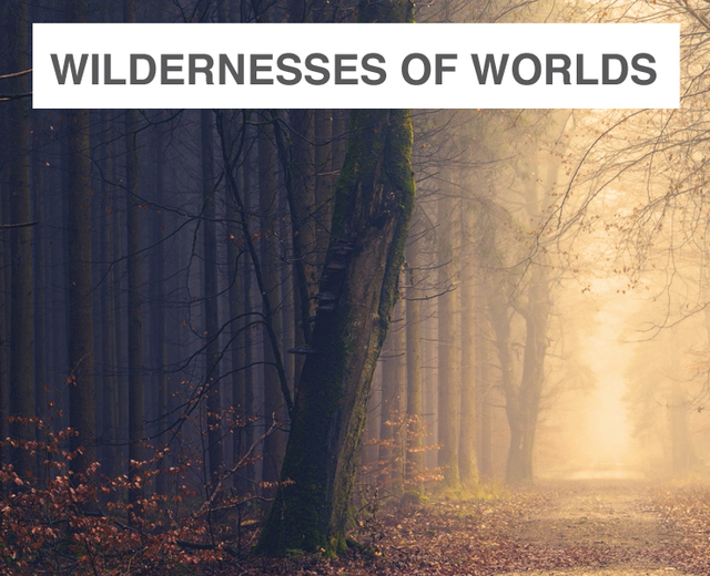 Through the Wildernesses of Worlds | Through the Wildernesses of Worlds| MusicSpoke