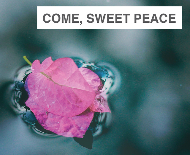Come, Sweet Peace | Come, Sweet Peace| MusicSpoke