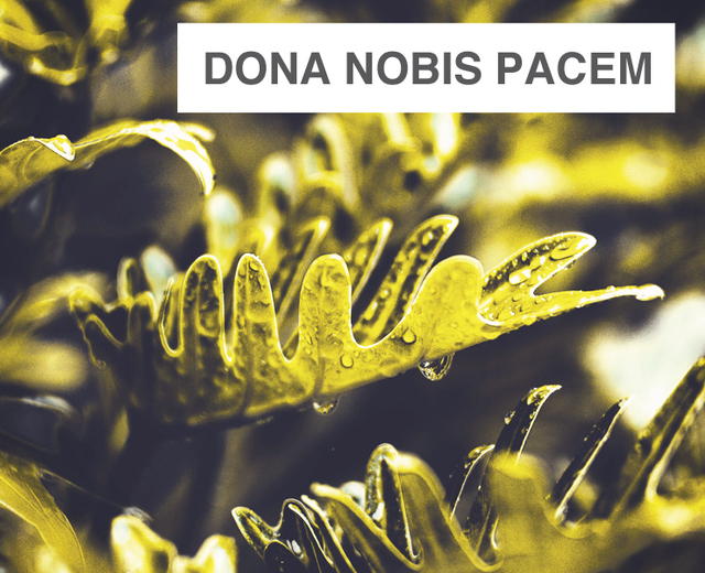 Dona Nobis Pacem | Dona Nobis Pacem| MusicSpoke
