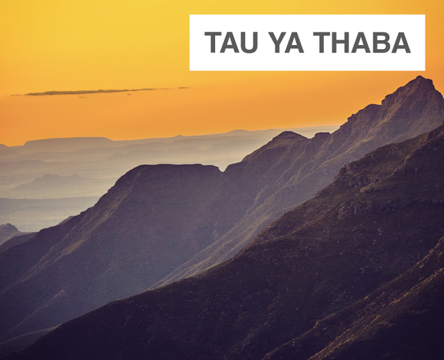 Tau Ya Thaba | Tau Ya Thaba| MusicSpoke