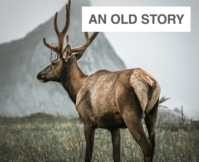 An Old Story | An Old Story| MusicSpoke