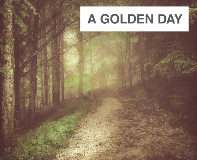 A Golden Day | A Golden Day| MusicSpoke