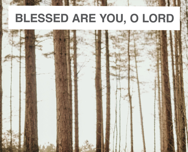 Blessed are You, O Lord | Blessed are You, O Lord| MusicSpoke