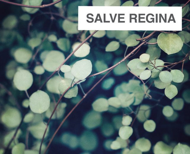 Salve Regina | Salve Regina| MusicSpoke