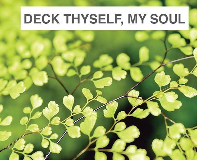 Deck thyself, my soul, with gladness | Deck thyself, my soul, with gladness| MusicSpoke