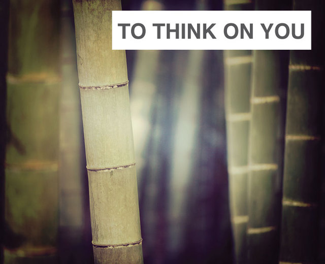 To Think On You | To Think On You| MusicSpoke