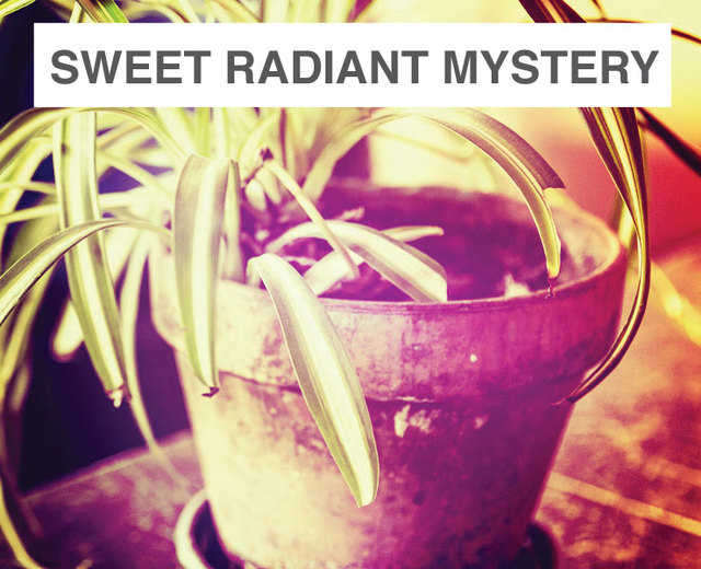 Sweet Radiant Mystery | Sweet Radiant Mystery| MusicSpoke