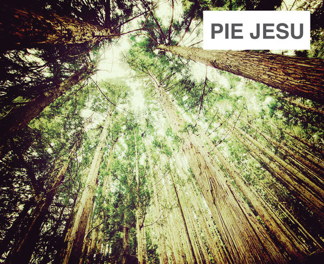 Pie Jesu | Pie Jesu| MusicSpoke