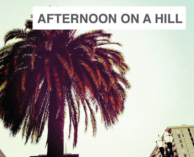 Afternoon on a Hill | Afternoon on a Hill| MusicSpoke