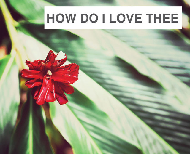 How Do I Love Thee | How Do I Love Thee| MusicSpoke