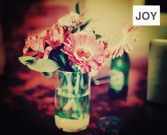 Joy | Joy| MusicSpoke
