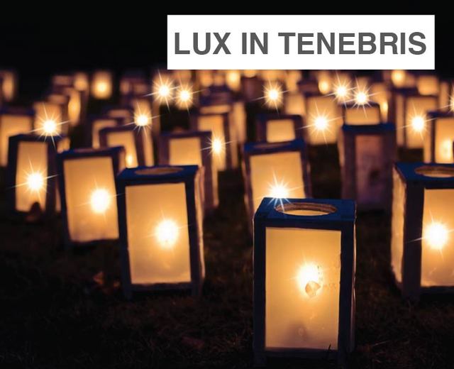 Lux in Tenebris | Lux in Tenebris| MusicSpoke
