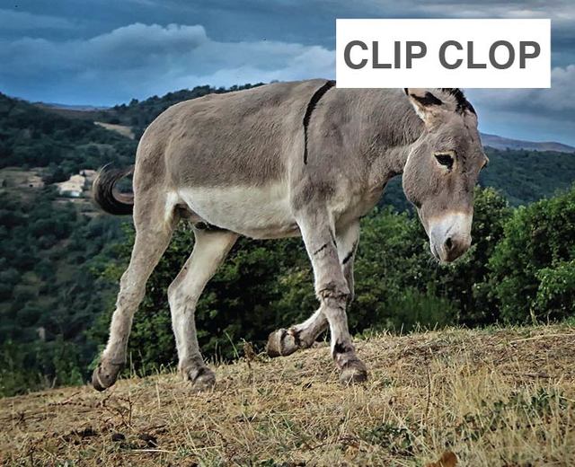 Clip Clop | Clip Clop| MusicSpoke