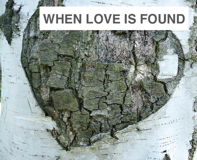 When Love is Found | When Love is Found| MusicSpoke