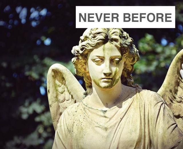 Never Before | Never Before| MusicSpoke