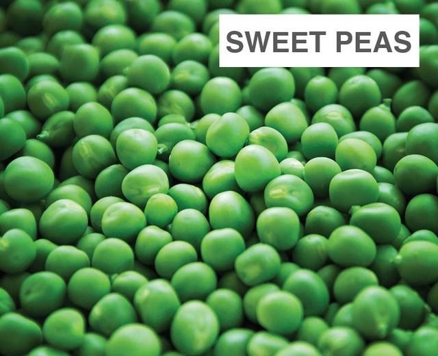 Sweet Peas | Sweet Peas| MusicSpoke