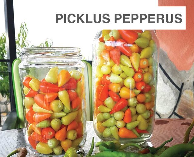 Picklus Pepperus | Picklus Pepperus| MusicSpoke