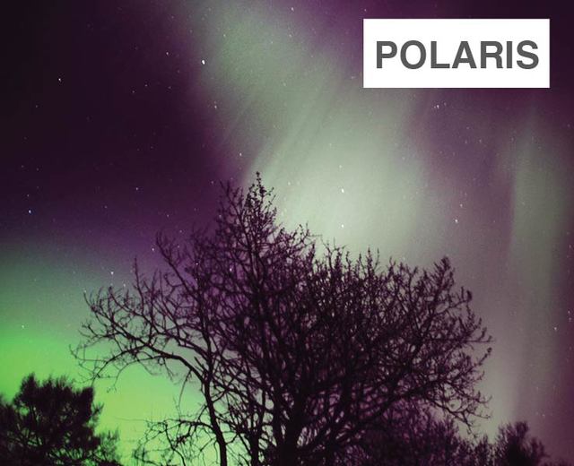Polaris | Polaris| MusicSpoke