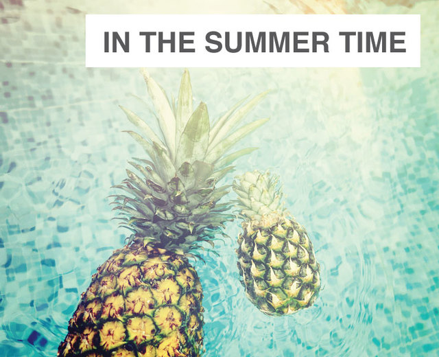 In the Summertime | In the Summertime| MusicSpoke