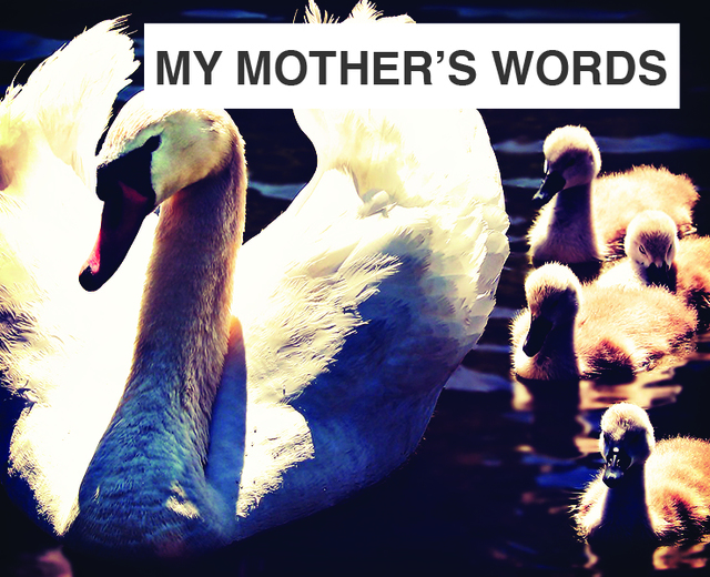 My Mother's Words | My Mother's Words| MusicSpoke
