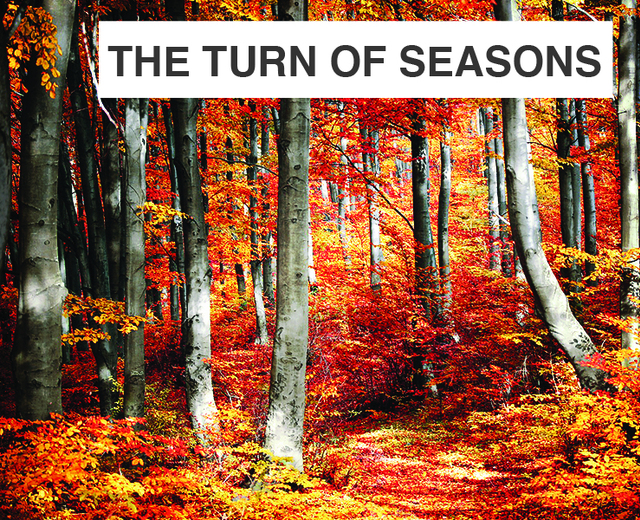 The Turn of Seasons | The Turn of Seasons| MusicSpoke