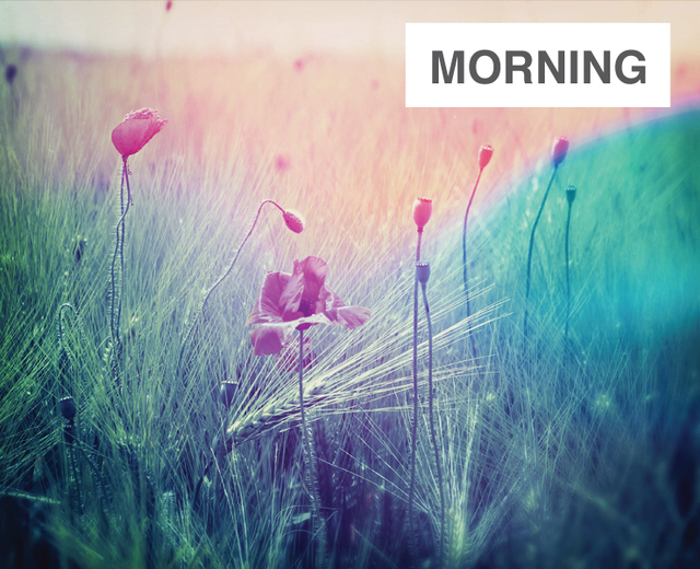 Morning | Morning| MusicSpoke