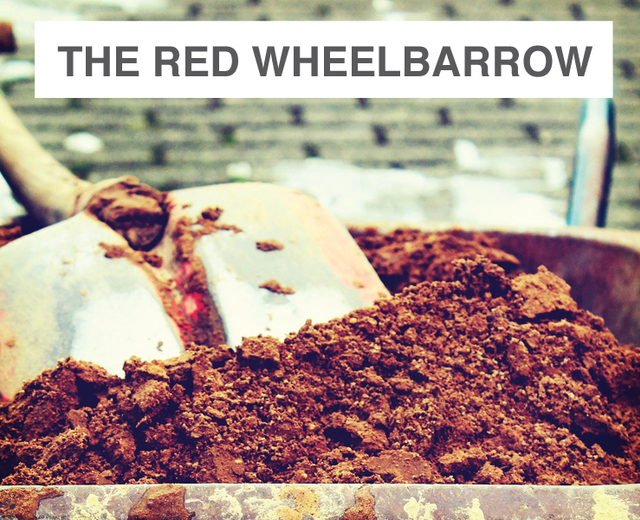 The Red Wheelbarrow | The Red Wheelbarrow| MusicSpoke
