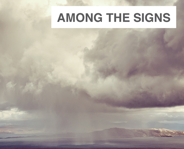 Among the Signs | Among the Signs| MusicSpoke