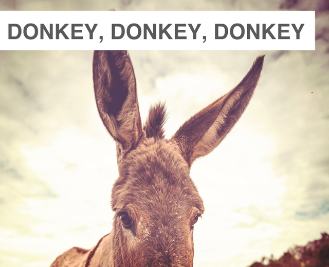 Donkey, Donkey, Donkey | Donkey, Donkey, Donkey| MusicSpoke