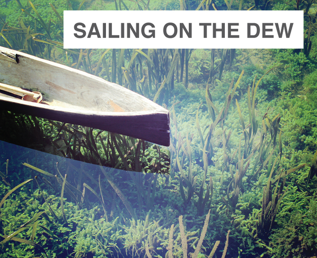Sailing on the Dew | Sailing on the Dew| MusicSpoke