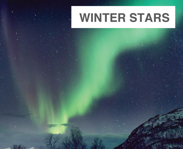 Winter Stars | Winter Stars| MusicSpoke