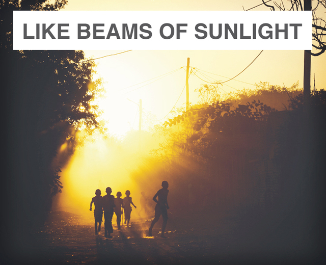 like beams of sunlight | like beams of sunlight| MusicSpoke