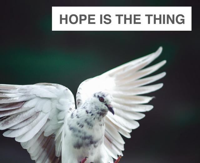 Hope is the thing with feathers | Nicholas Wright | MusicSpoke | Hope is the thing with feathers | Nicholas Wright | MusicSpoke| MusicSpoke