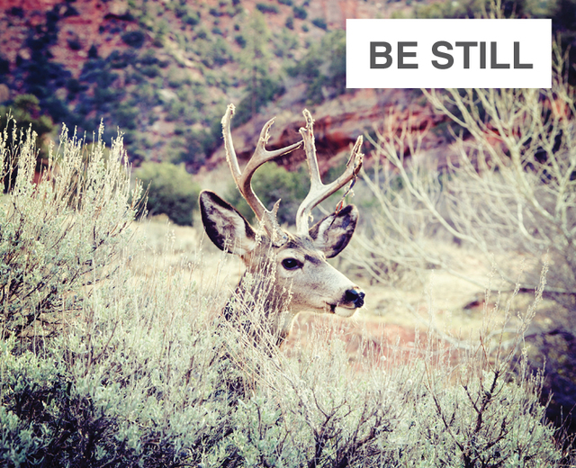 be still | be still| MusicSpoke