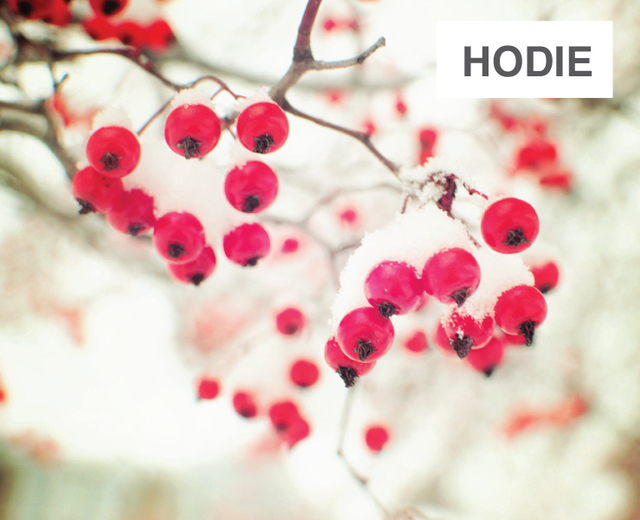 Hodie | Hodie| MusicSpoke