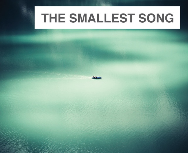 The Smallest Song | The Smallest Song| MusicSpoke