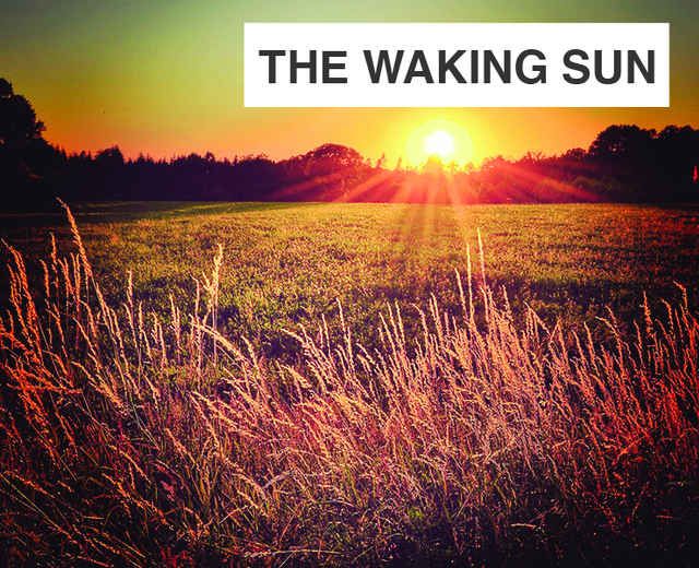 The Waking Sun | The Waking Sun| MusicSpoke