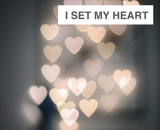 I Set My Heart | I Set My Heart| MusicSpoke