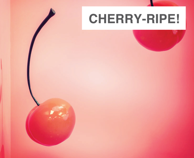 Cherry-ripe! | Cherry-ripe!| MusicSpoke