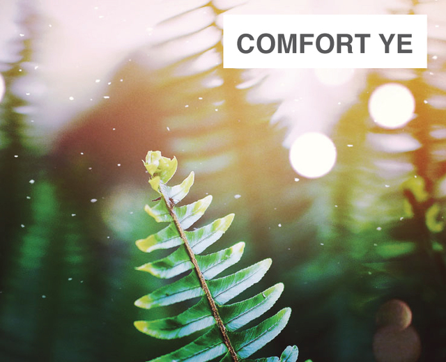 Comfort Ye | Comfort Ye| MusicSpoke