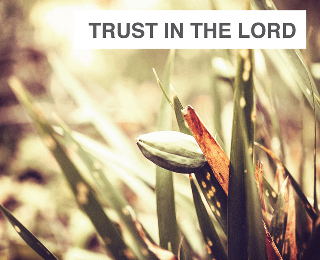 Trust In the Lord | Trust In the Lord| MusicSpoke