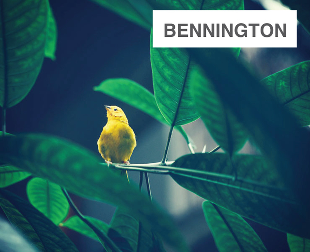 Bennington | Bennington| MusicSpoke