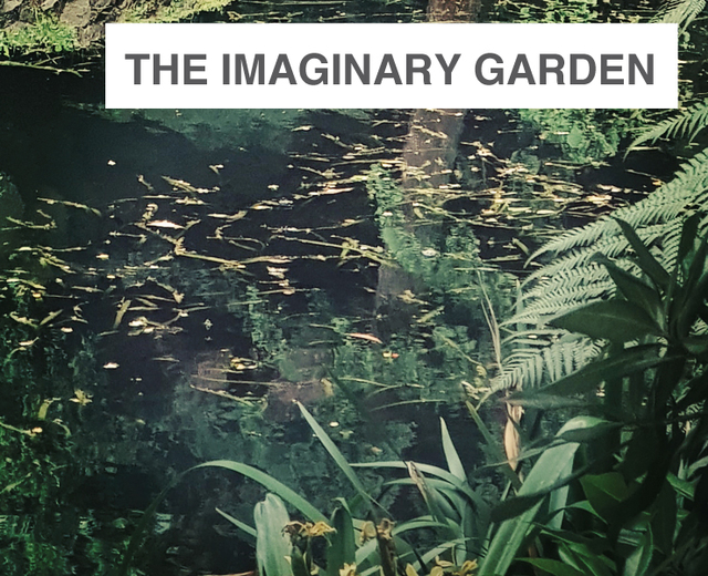 The Imaginary Garden | The Imaginary Garden| MusicSpoke