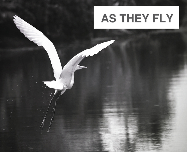As They Fly | As They Fly| MusicSpoke