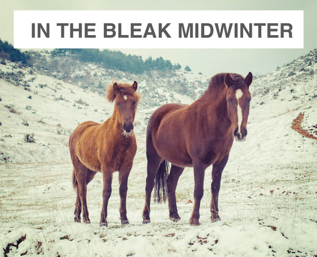 In the Bleak Mid-Winter | In the Bleak Mid-Winter| MusicSpoke