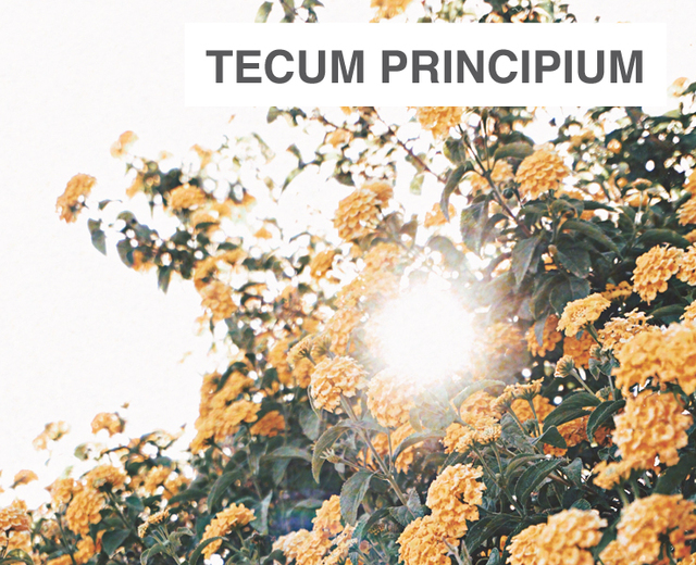 Tecum Principium | Tecum Principium| MusicSpoke